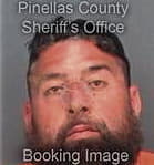 Roberto Elvir-Vallesillo, - Pinellas County, FL 