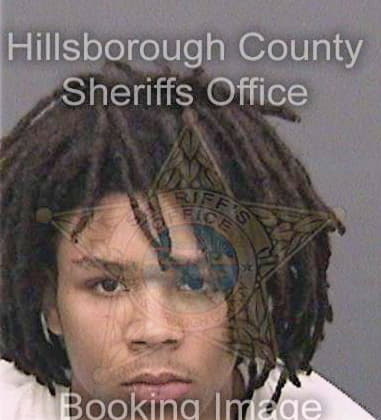 Demonterrio Jenkins, - Hillsborough County, FL 