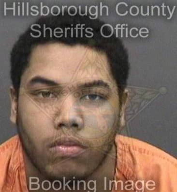 Michael Johnson, - Hillsborough County, FL 