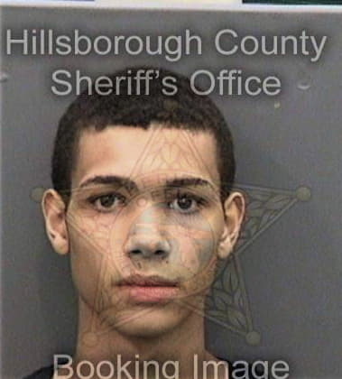 Nathaniel Johnson, - Hillsborough County, FL 