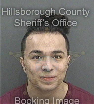 Cody Morgan, - Hillsborough County, FL 