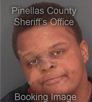 Anita Sanchez, - Pinellas County, FL 