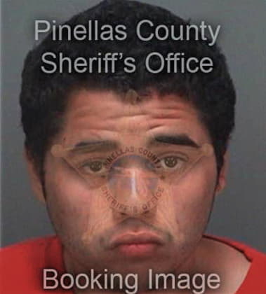 Jorge Venturaortiz, - Pinellas County, FL 