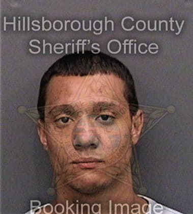 Brandon Brown, - Hillsborough County, FL 