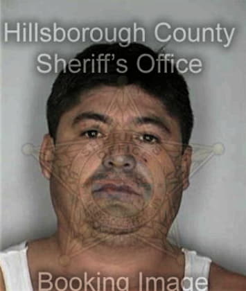 Kevin Dsouza, - Hillsborough County, FL 