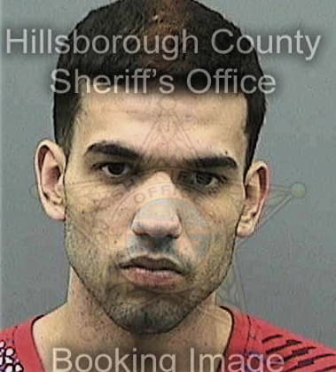 Nicholas Formica, - Hillsborough County, FL 