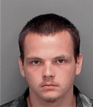 Dalibor Mrdjenovic, - Pinellas County, FL 