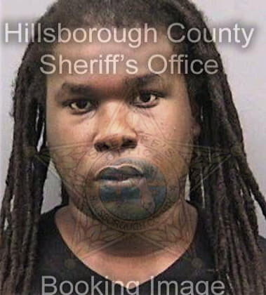 Andre Robinson - Hillsborough County, FL 