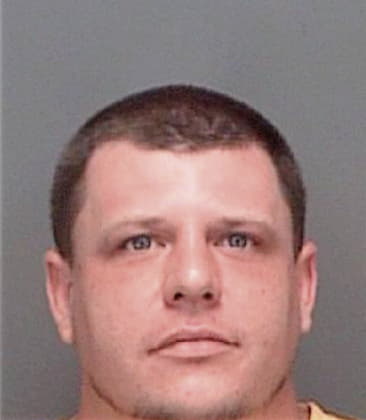 Timothy Syres, - Pinellas County, FL 