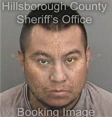 Nicholas Toscani, - Hillsborough County, FL 