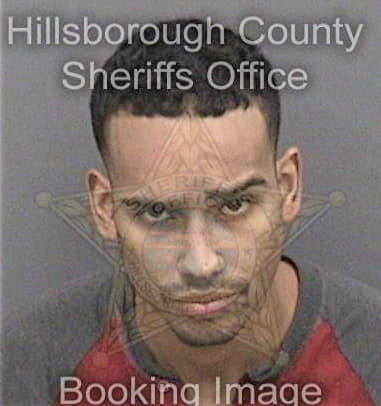 Peter Brooks, - Hillsborough County, FL 