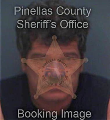 Robert Danhires, - Pinellas County, FL 