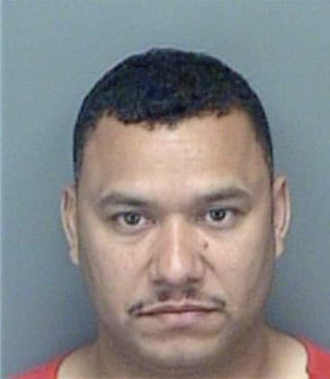 Samuel Garciagarcia, - Pinellas County, FL 