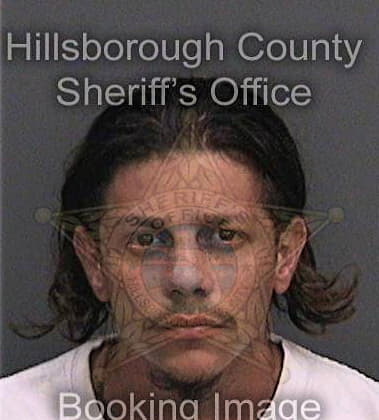 Daniel Miu, - Hillsborough County, FL 