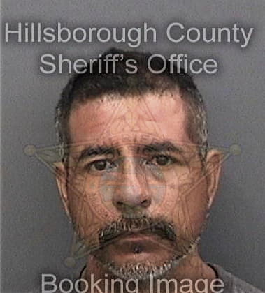 Dariel Perez, - Hillsborough County, FL 