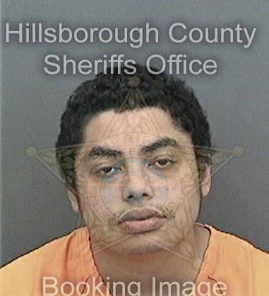 Julio Ramirezcastineira, - Hillsborough County, FL 