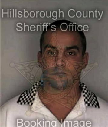 Steven Rini, - Hillsborough County, FL 