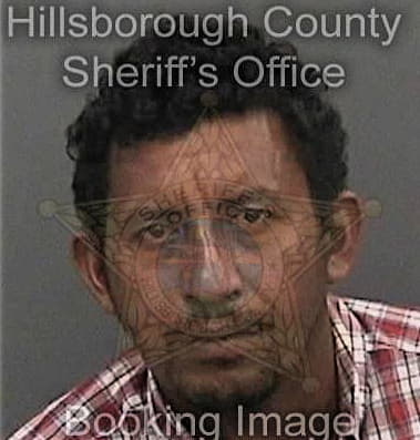 Pedro Valdez, - Hillsborough County, FL 