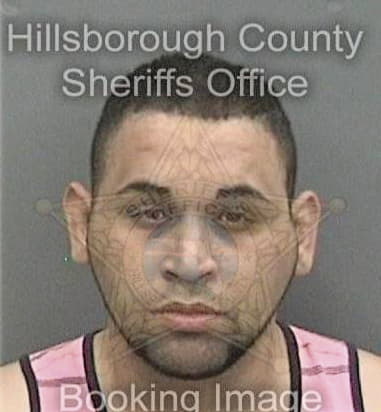 Charles Blaisdell - Hillsborough County, FL 