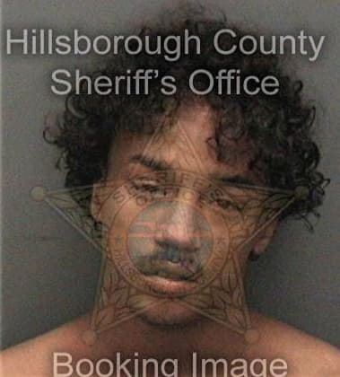 Ryan Brooks, - Hillsborough County, FL 