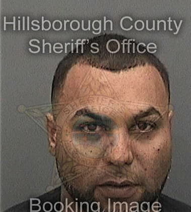 Gregory Madera, - Hillsborough County, FL 