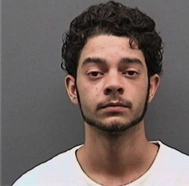 Ramon Miranda - Hillsborough County, FL 