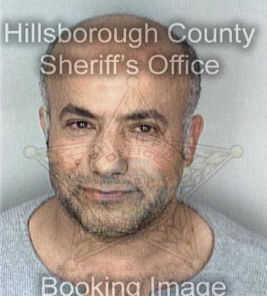 Ivan Alvarezhernando, - Hillsborough County, FL 