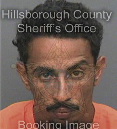 Jairo Arguetahernandez, - Hillsborough County, FL 