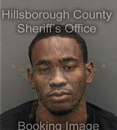 Issa Brinson - Hillsborough County, FL 
