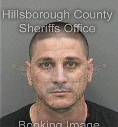 Michael Farina, - Hillsborough County, FL 