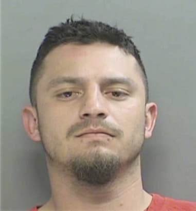 Salvador Garciaaraiza, - Tarrant County, TX 