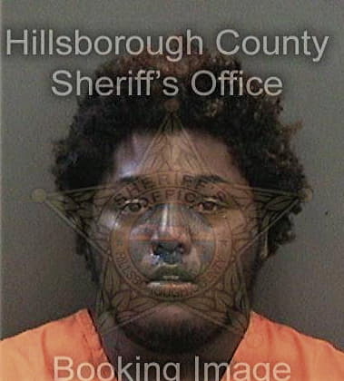 Arik Hunter, - Hillsborough County, FL 