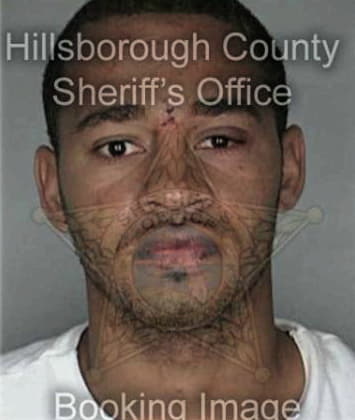 Terry McCall - Hillsborough County, FL 