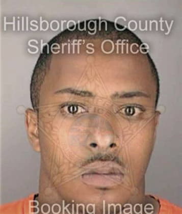 Abraham Mitchell - Hillsborough County, FL 