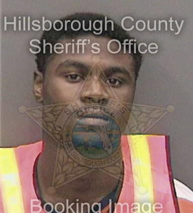 Michael Mixon, - Hillsborough County, FL 