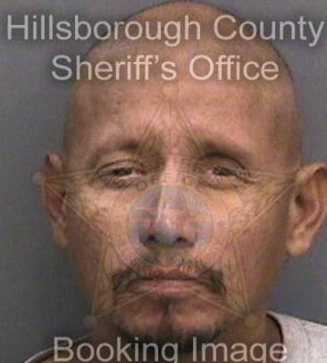 John Phillips, - Hillsborough County, FL 