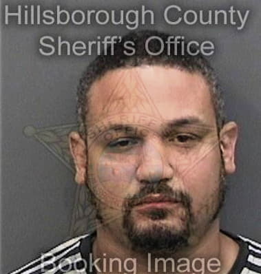 Michael Sester, - Hillsborough County, FL 