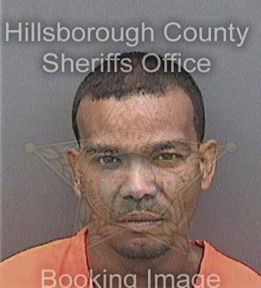 Michael Wilson, - Hillsborough County, FL 