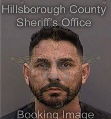 Lazaro Dalmauc-Retana, - Hillsborough County, FL 