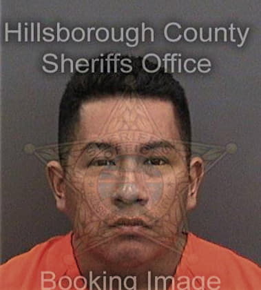 David Feltenberger, - Hillsborough County, FL 