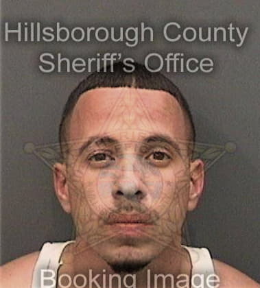 Nickalus Harvey, - Hillsborough County, FL 