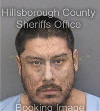 Hunter Hicks - Hillsborough County, FL 