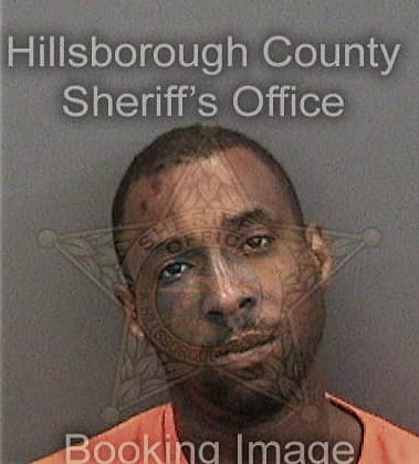 Michael Johnson, - Hillsborough County, FL 