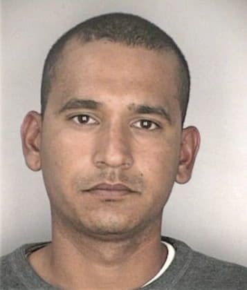 William Mercer - Hillsborough County, FL 