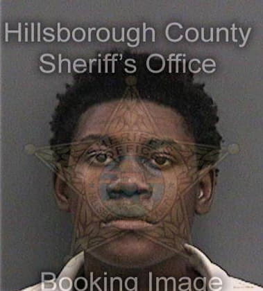 Akeaus Mimmenger - Hillsborough County, FL 
