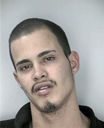 Daniel Mitchell - Hillsborough County, FL 