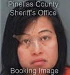 Chaodan Wang, - Pinellas County, FL 