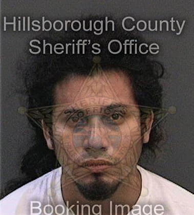 Milko Felipe, - Hillsborough County, FL 