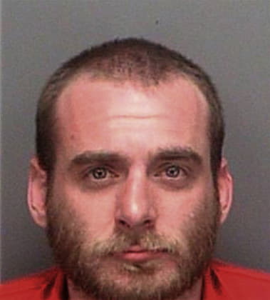 Joshua Macintyre, - Pinellas County, FL 