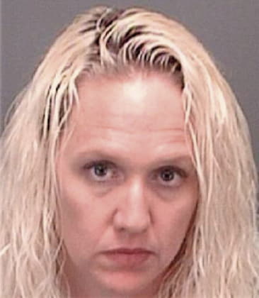 Lisa McDowell - Pinellas County, FL 